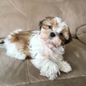 Meet your Posher, Cheryl